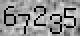 field captch